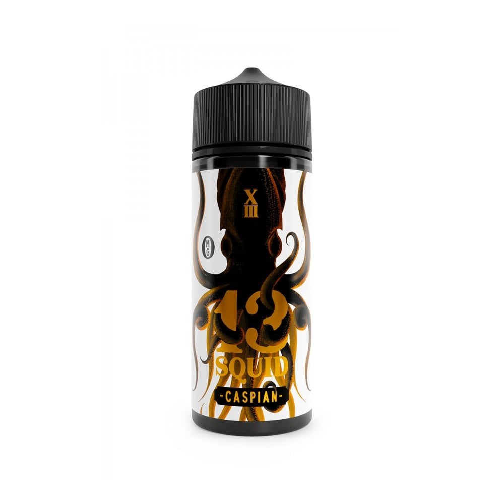 13 Squid Caspian 100ml Shortfill E-liquid